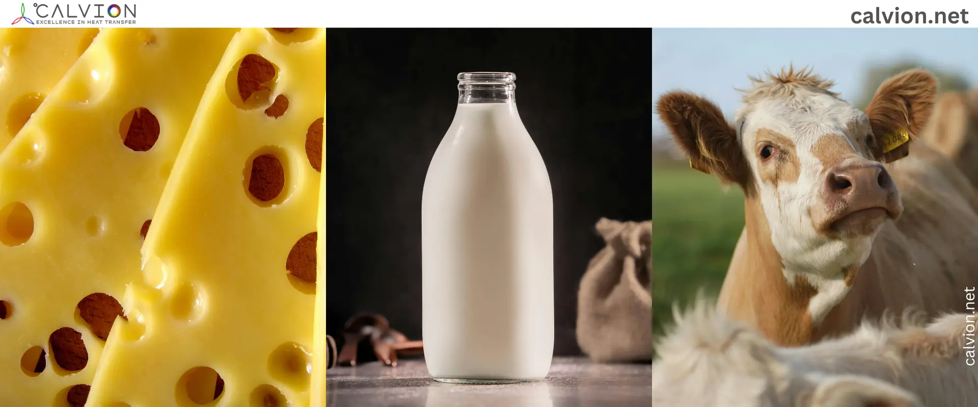 Dairy thermal systems — milk cooling and vessel temperature control